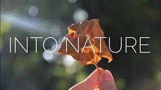 INTO NATURE - CINEMATIC B ROLL - dji osmo mobile 3 gimbal #dji #cinematic #nature