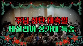 [호평동성당] 주님 성탄 대축일 ⭐세실리아 성가대 특송⭐