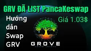 Grove GRV đ&atilde; list pancakeswap gi&aacute; 1.03$ | Hướng dẫn swap GRV Coin