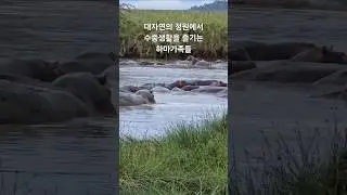 정원 조경하는 사람들 #정원 #garden #animals #동물 #healing #Africa @정원조경팀장