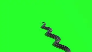 Snake (coming) green screen VFX footage download now