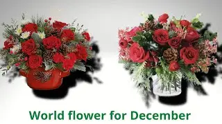 Best Holiday floral Arrangements decoration and flower Gifts for December
