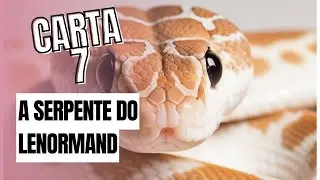 🔮Baralho Cigano Lenormand  Significados da CARTA 7 🐍 A SERPENTE (SUPER AULA)