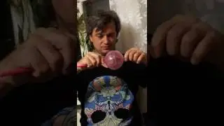 Тренировка хомяка