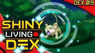 SHINY RATTATA!! Live Reaction! Quest For Shiny Living Dex #019 | Pokemon ORAS