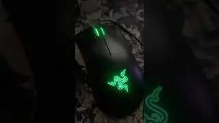 Обзор Razer Deathadder essential #геймеры #обзортехники #msi #ardor #dexp #razer #gamingsetup