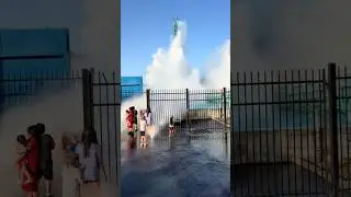 This Is Why You Never Stand in the Splash Zone🌊 (@stilo_lara)