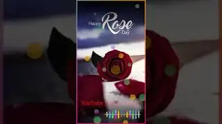 Happy Rose Day 2021 ❤ | Majnu Editz | YouTube Shorts