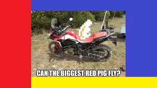 Africa Twin on an Motocross Track Can the Biggest Red Pig Fly?