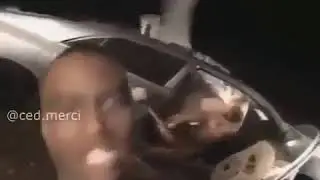 Camel in the car