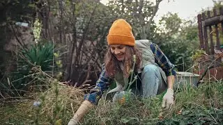 How to Prepare your Garden for Winter