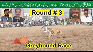 Dogs Race || Dori Track Race || Round # 3  || 23 chak Sargodha #dog #viral #puppy #viralvideo