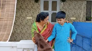 🌻annitiki kaaranam emotion lae 😅😃