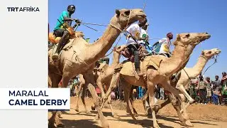 Kenya&rsquo;s Maralal Camel Derby