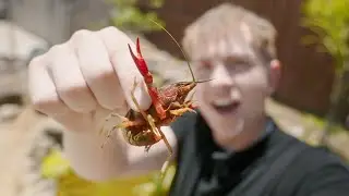 BUYING CREATURES FOR POND OFF EBAY!!