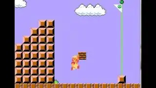 How NOT to play Super Mario Brothers! with bWildcat2