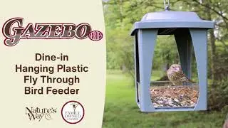 Dine-in Hanging Plastic Fly Through Bird Feeder | Gazebo Bird Feeders | Nature's Way Bird Products