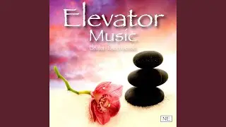 Day Spa Background Music