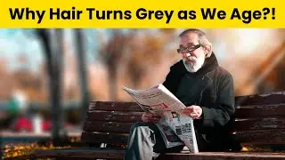 Why our Hair Turns Grey as we Age?! |facts| DR Wonder TV