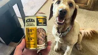 Acana Premium Chunks Poultry Recipes Wet Dog Food - HONEST Review