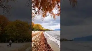 Види, Швейцария 🇨🇭