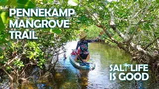 Paddling (SUP) at John Pennekamp in Key Largo, Florida through the mangrove trail