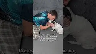 Артикул WB 566679536OZON: 2957364371 Нескользящий коврик от бренда Dfang #юмор