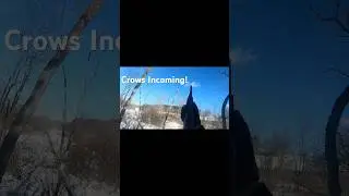 Crow Hunting In Cold Weather 🥶