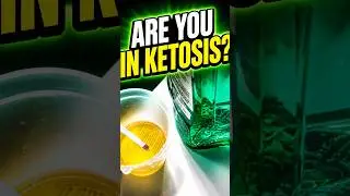 Keto Strips to Easily Test Your Ketones