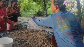IT'S NEVER ENDING SHRIMP