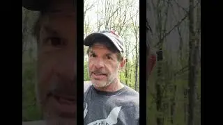 Black Flies Matter