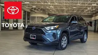 RAV4 XLE vs XSE (2025): What You Need to Know (Interior, Exterior and More)
