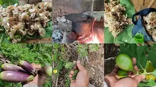 Chulram fan leh Maupa🍄pawh na/Maupa hmun kan lut fuh e,a nuam khawp mai 😇!!!!!