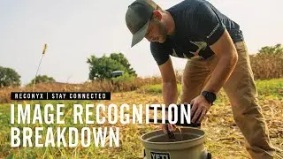 How to utilize Image Recognition