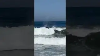 sufrig na valovima🐬