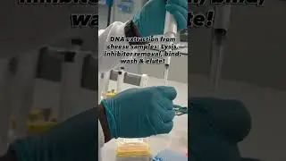 30-Second Snapshot: Rapid DNA Extraction Workflow for 🧀 samples #dnaextraction #molecularbiology