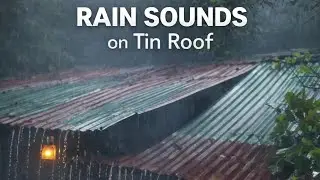 Rain Sounds on Tin Roof 🌧️ Deep Sleep, Relaxing Rain for Stress Relief