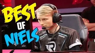 BEST OF NIELS 