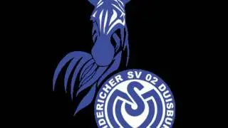 Jetzt kommt der MSV