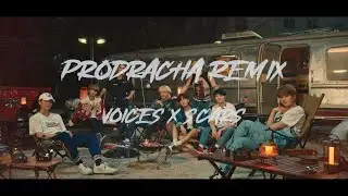 Stray Kids - SCARS x VOICES Mashup
