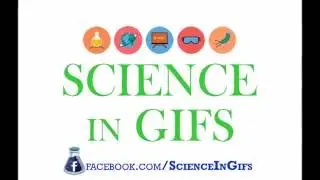 Science In Gifs Trailer