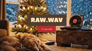 CHRISTMAS_ARCHIVES_VOL.1 [RAW.WAV] Dirty Lo-Fi Hip Hop & Soul Samples Mix