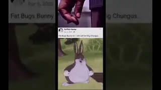 No it&rsquo;s big chungus #bugsbunny #bigchungus #memes #shorts @MultiVersus @EpicGamesStore @gamingmedia4088