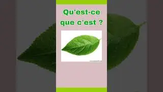 Fran&ccedil;ais quotidien #урокифранцузького #французскийонлайн