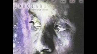Petersen- BOBOJANI feat J.K.