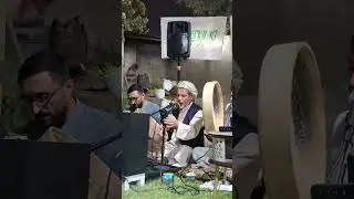 يا طه روحي بمولدك فرحانة 