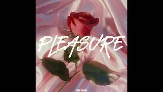 (FREE FOR PROFIT) Denise Julia x 90s R&B Type Beat - 