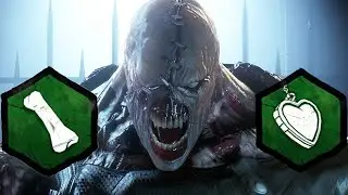The Duality Of Nemesis