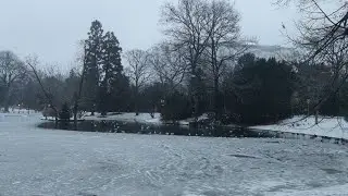 Silent Snow, Singing Birds | Winter Park Scenes  #entertainment  #park  #nature  #birds