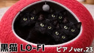 【ローファイ黒猫ピアノ 癒やしのBGM ver.23】